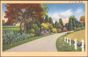 Tree and flower-lined road, fence to the right