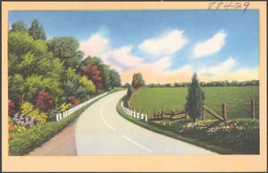 Road, trees and fence to the left and fence to the right