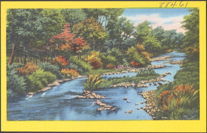 Tree-lined river with rocky shoals