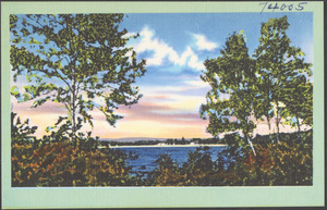 View of lake through trees