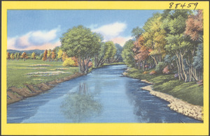 Tree-lined river