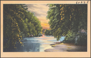 Tree-lined river