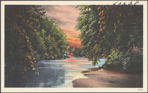 Tree-lined river