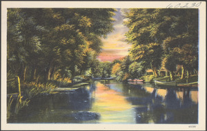 Tree-lined body of water, boats on the right