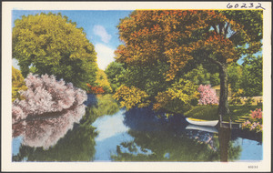Tree-lined body of water, boat on the right