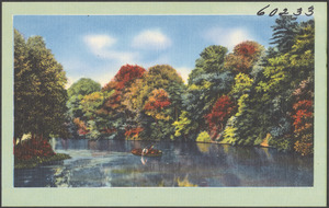 Boat on a tree-lined river
