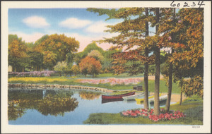 Boats on a lake, trees in foreground and background