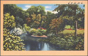 Trees and shrub-lined body of water