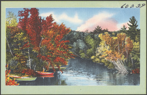Boats by a tree-lined river