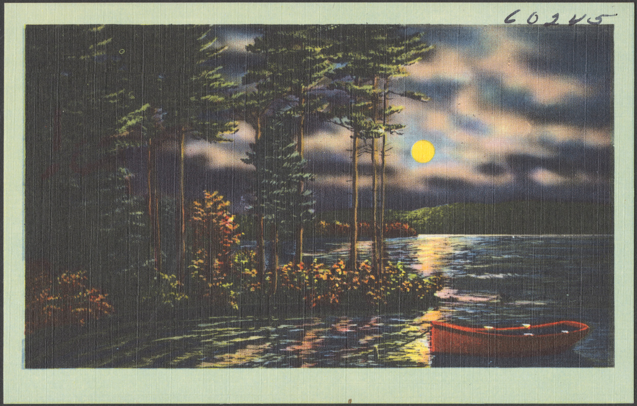 Boat on moonlit lake