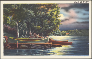 Canoes on the shore by a moonlit lake