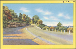 View of a road, guard rail to the right
