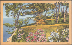 A body of water, flowers in foreground, trees in background