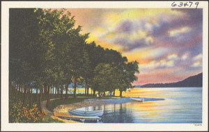 Trees by a lake, canoes on shore