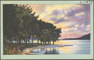 Trees by a lake, canoes on shore
