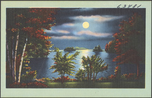 View of moonlit lake through trees