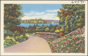 Body of water, road and flowers in foreground
