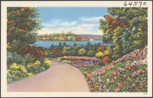 Body of water, road and flowers in foreground