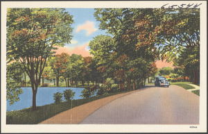 Car driving down a tree-lined road, a body of water to the left