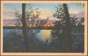 View of lake through trees