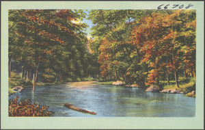 Tree-lined river