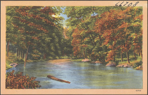 Tree-lined river