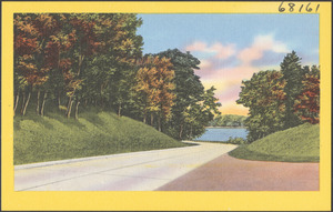 Tree-lined road, body of water in background