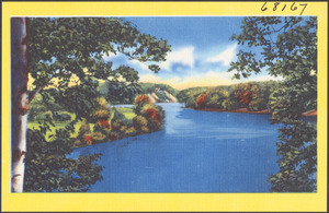 Tree and shrub-lined river