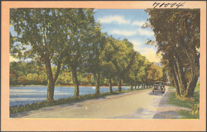 Car driving down a tree-lined road, a body of water to the left