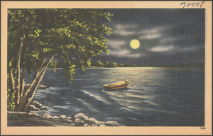 A boat on a moonlit lake