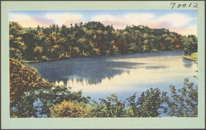 View of tree-lined lake