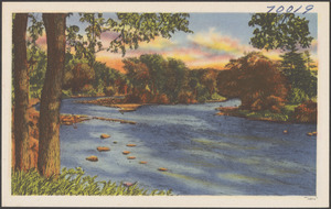 View of river, tree in background