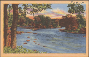 View of river, tree in background