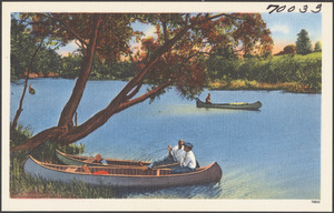Canoe on a lake. Two other canoes are on the shore in the foreground below a tree's branches