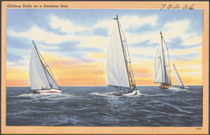 Gliding sails on a summer sea