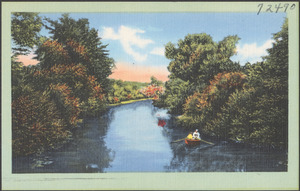 Two people in a rowboat on a tree-lined lake