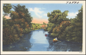 Two people in a rowboat on a tree-lined lake