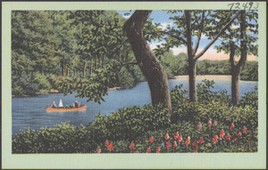 A canoe on a lake, trees in the foreground and background