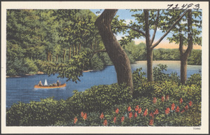 A canoe on a lake, trees in the foreground and background