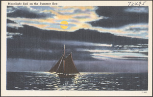 Moonlight sail on the summer sea