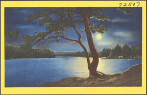 Moonlit lake, tree in foreground
