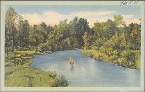 A man wading through a river, trees in background