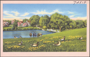 Cows and ducks by a lake