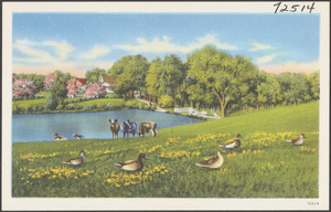Cows and ducks by a lake
