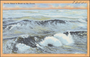 Swells about to break on the ocean