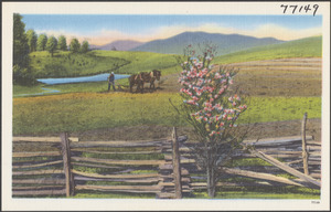 A horse pulling a plow, mountains in the background