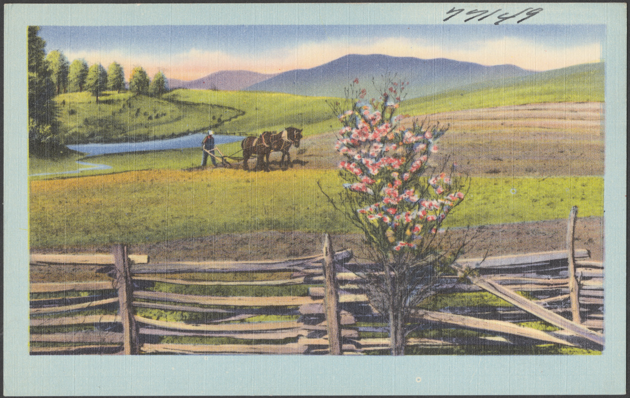 A horse pulling a plow, mountains in the background