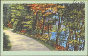 Tree-lined road, bodies of water to the right