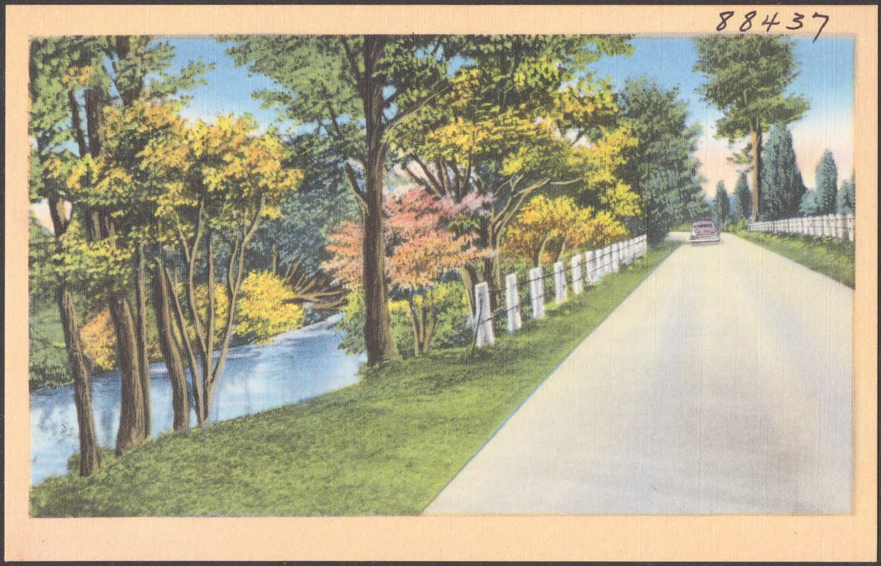 Car driving on a tree-lined road, river to the left