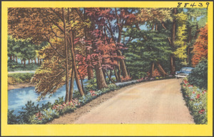 Car driving down a tree-lined road, river to the left